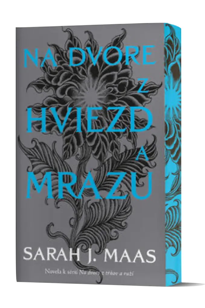 Na dvore z hviezd a mrazu