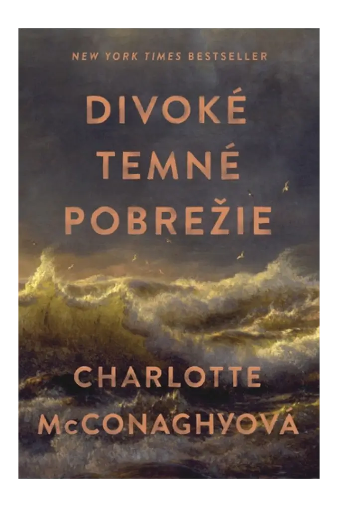 Divok&eacute; temn&eacute; pobrežie